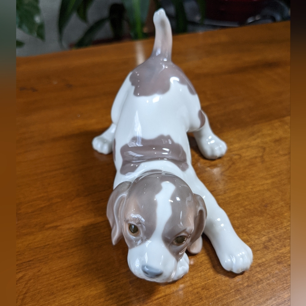 Beagle Puppy